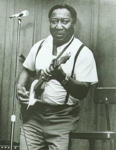 muddy-waters