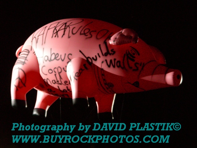 roger-waters-pig